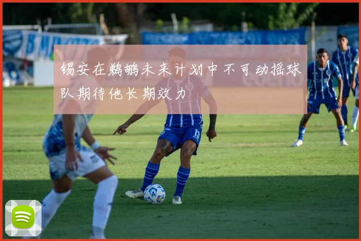 锡安在鹈鹕未来计划中不可动摇球队期待他长期效力