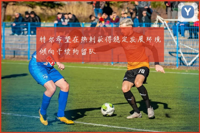 特尔希望在热刺获得稳定发展环境倾向于续约留队
