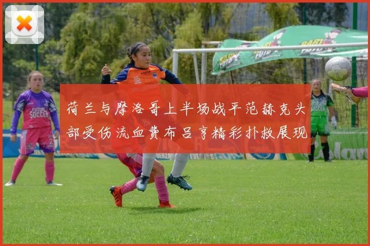 荷兰与摩洛哥上半场战平范赫克头部受伤流血费布吕亨精彩扑救展现实力